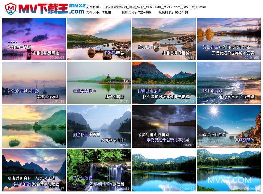 王韵-别让我流泪_国语_流行_YE600630